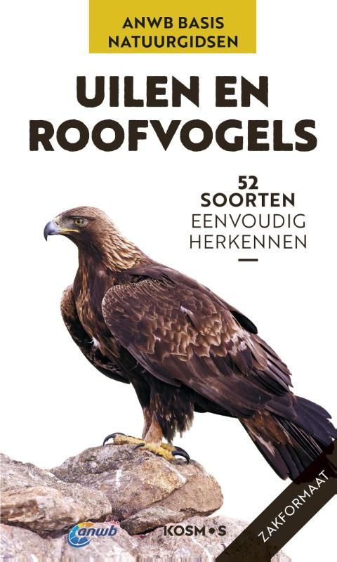 Volker Dierschke; Uielen en roofvogels