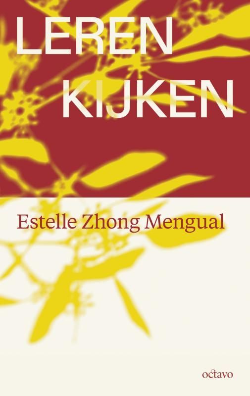 Estelle Zhong Mengual; Leren kijken