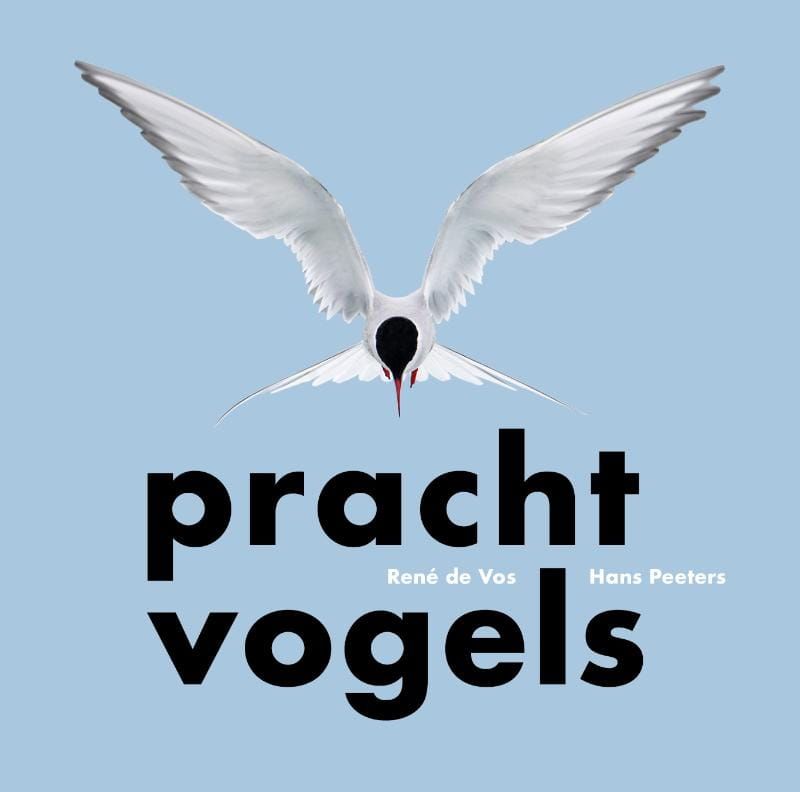 René de Vos; Prachtvogels