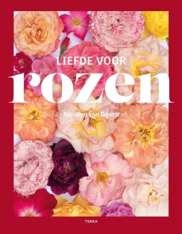 Boekcover: Titel 