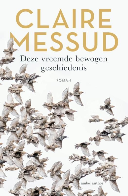 Claire Messud; Deze vreemde bewogen geschiedenis