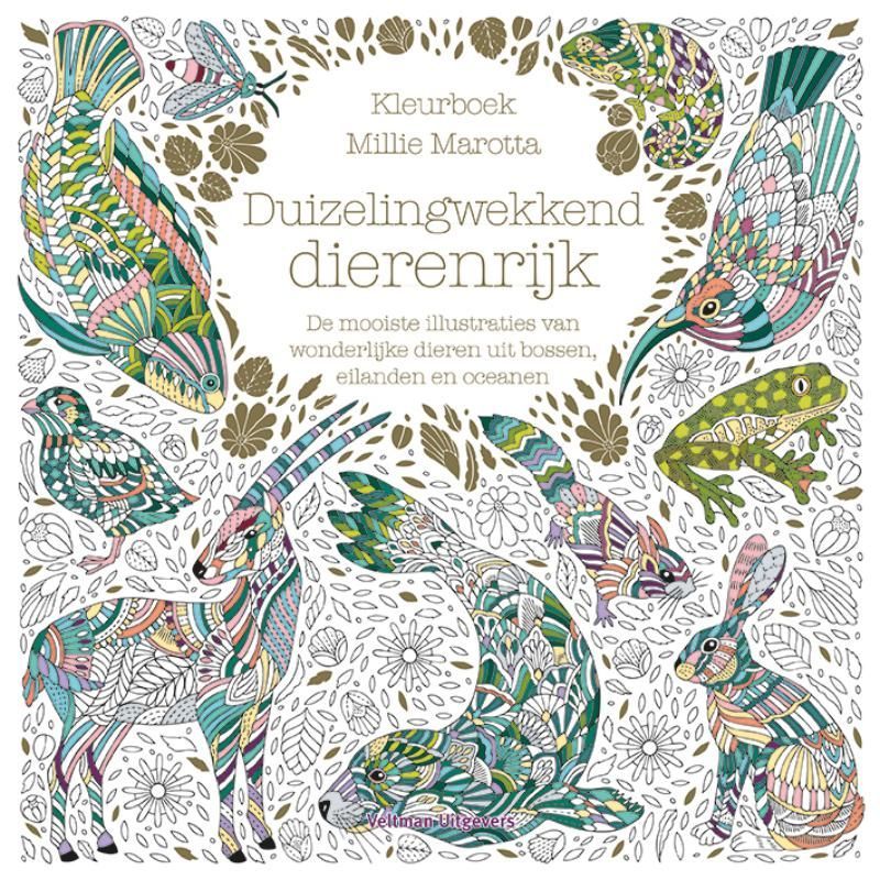 Coloring book cover: 