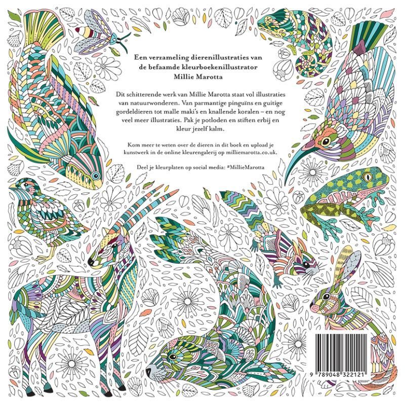 Coloring book cover: 