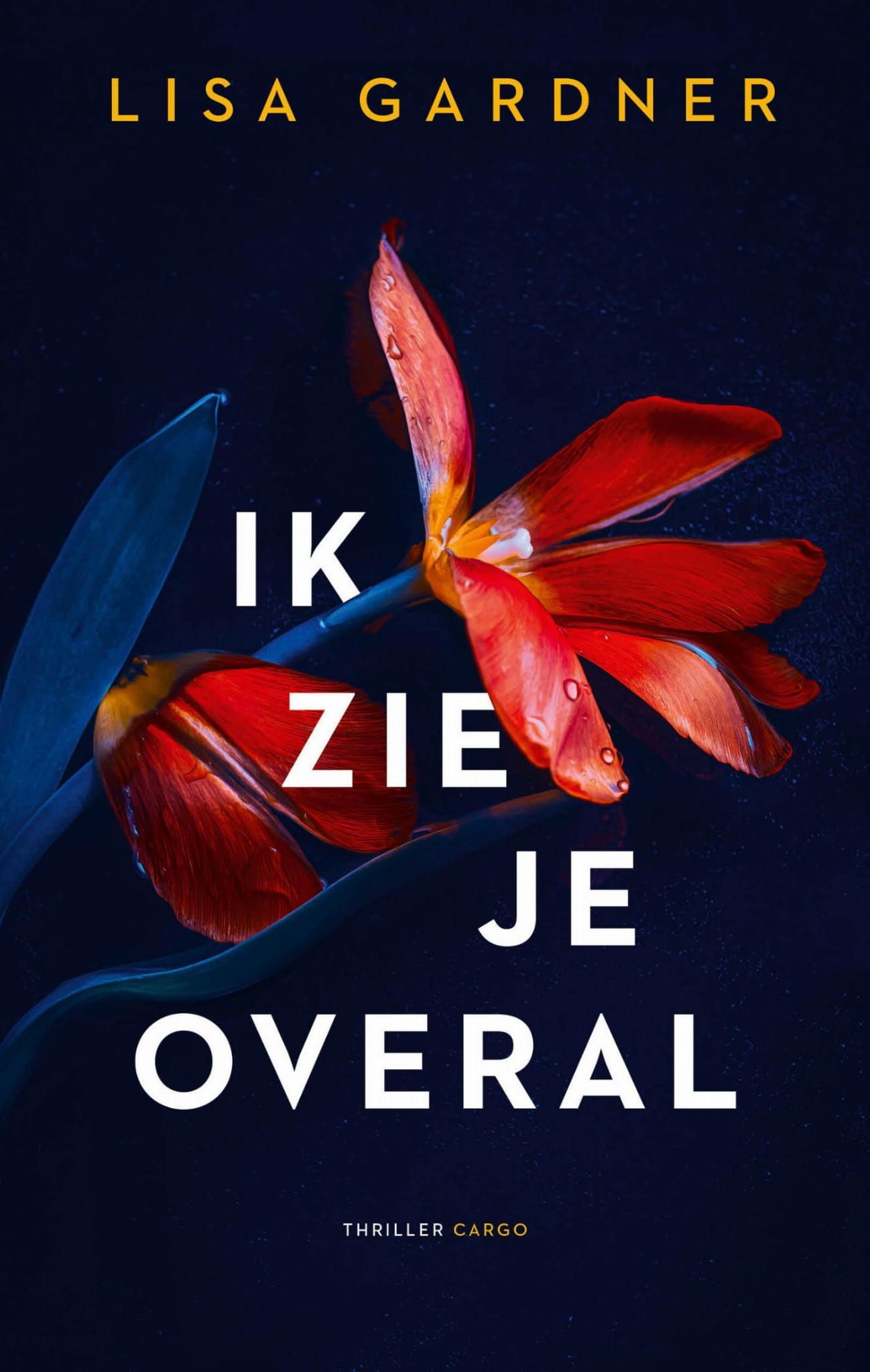 Lisa Gardner; Ik zie je overal