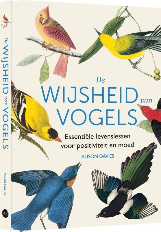 Alison Davies; De wijsheid van vogels