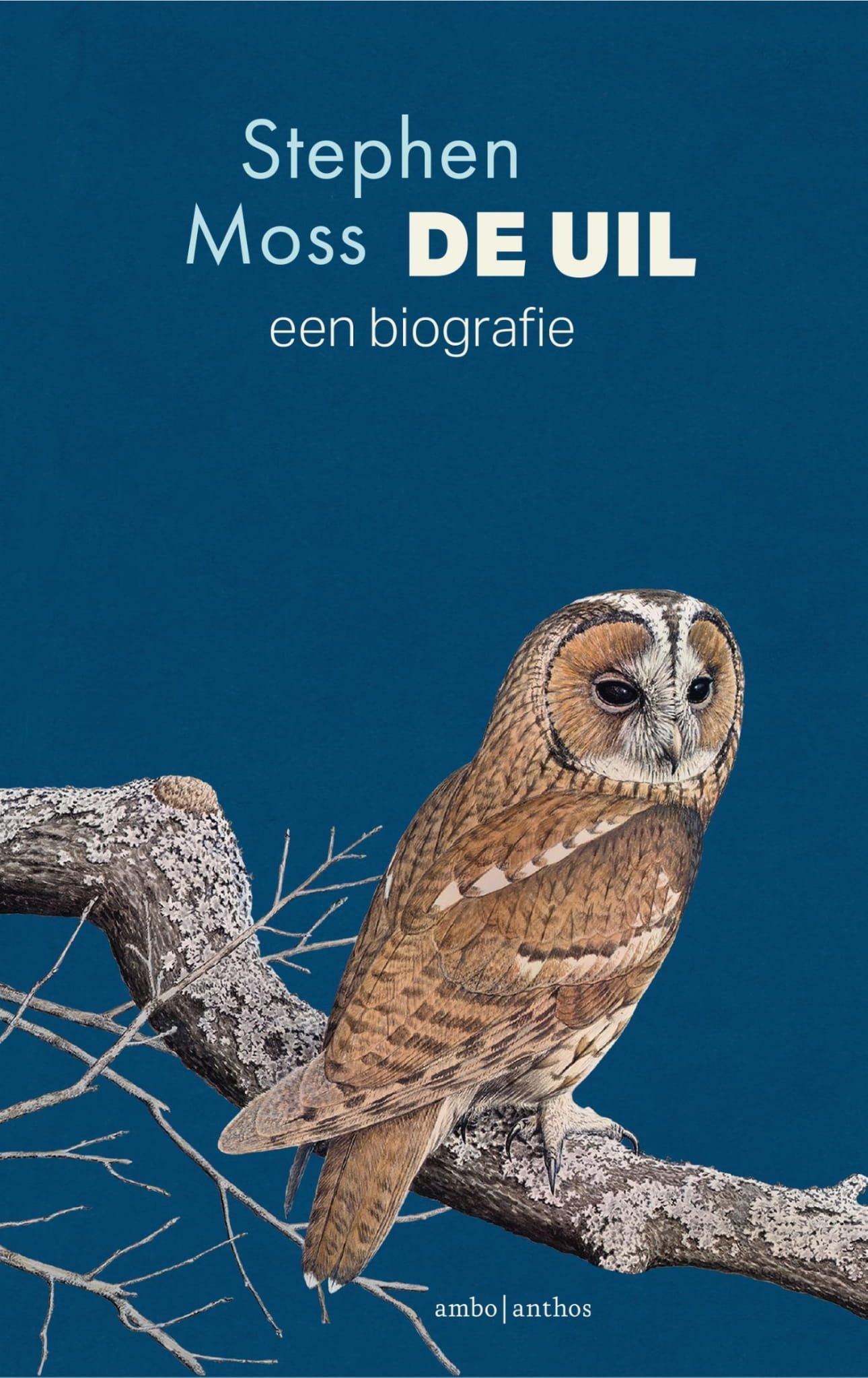 Stephen Moss; De uil