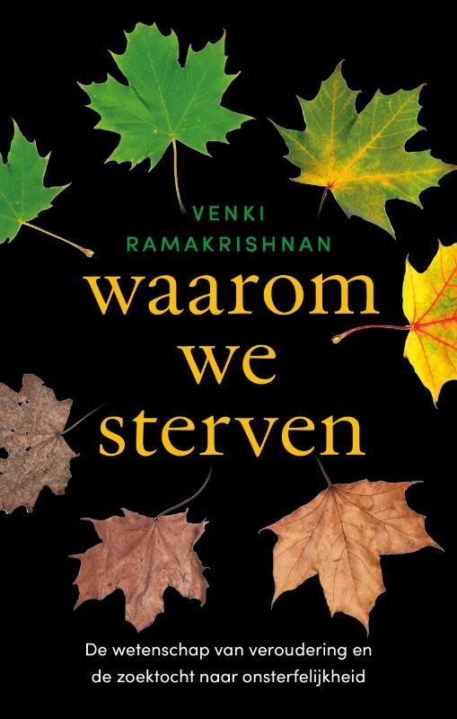 Boekcover: 