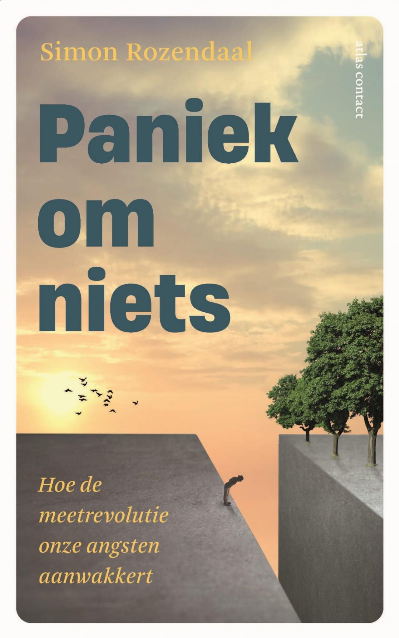 Simon Rosendaal; Paniek om niets
