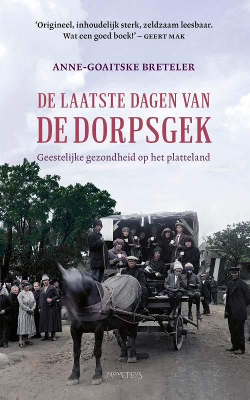 Anna-Goaitske Breteler; De laatste dagen van de dorpsgek