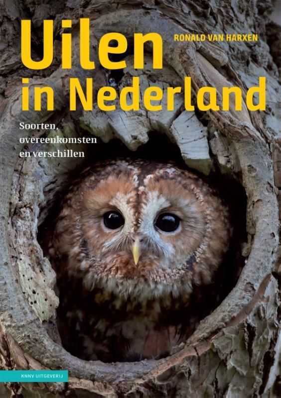 Ronald van Harxen; Uilen in Nederland