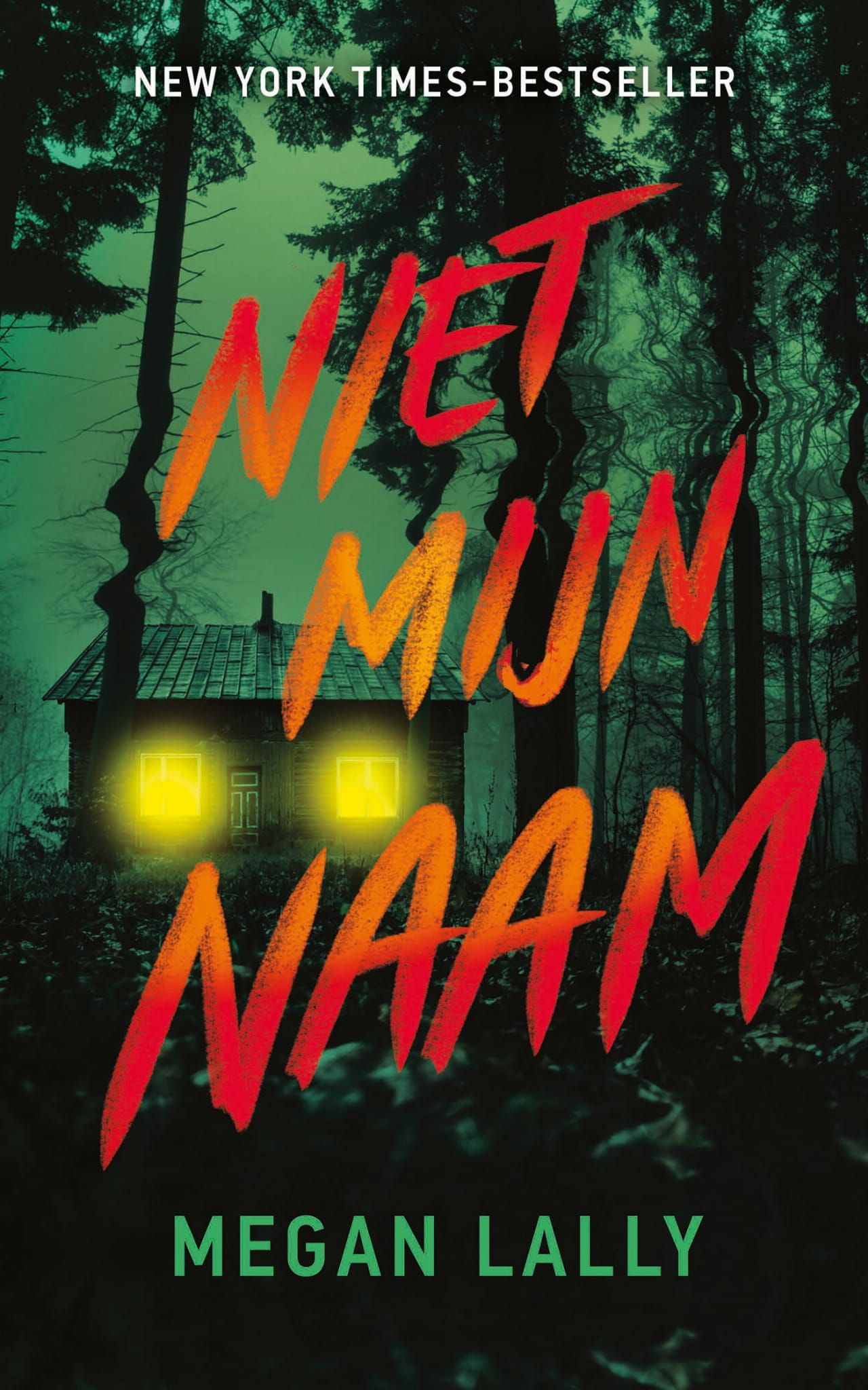 Megan Lally; Niet mijn naam