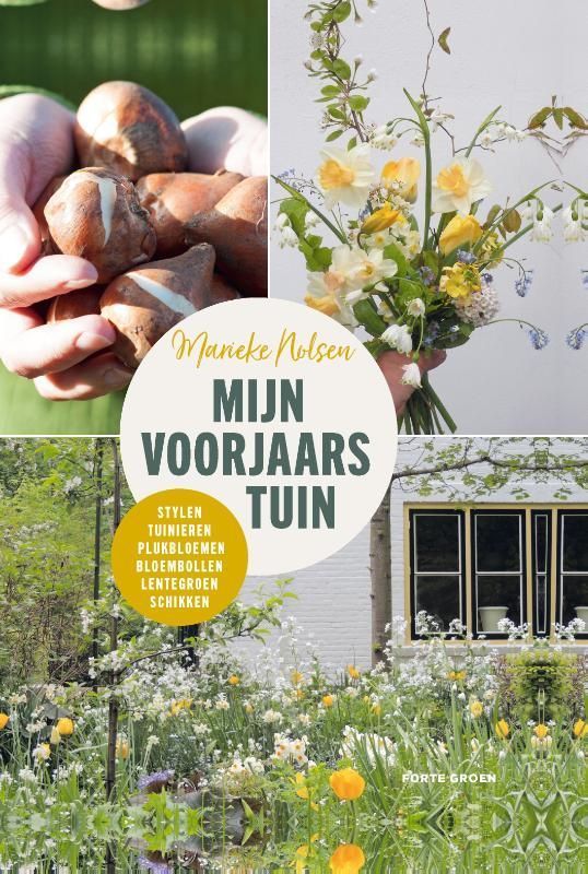 Cover of 