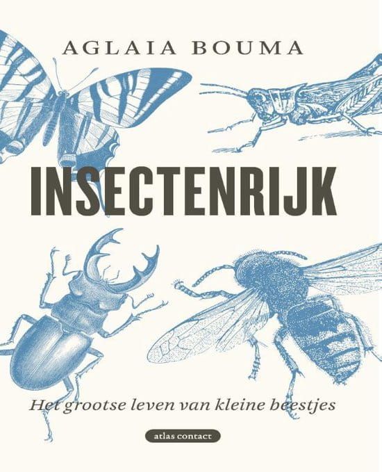Boekcover: Blauwe illustraties van insecten, met de titel 