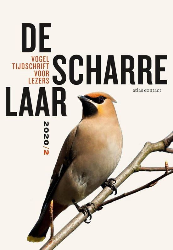 De Scharrelaar