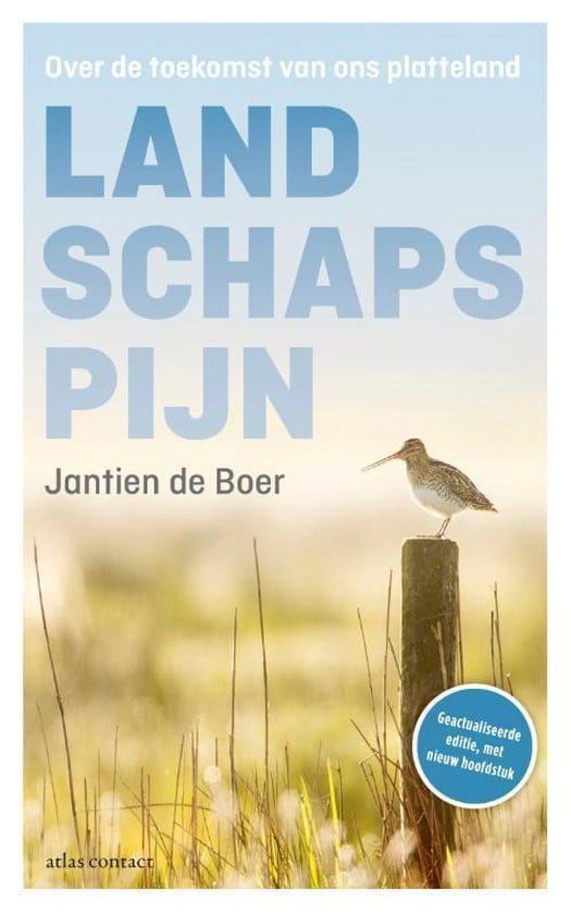 Jantien de Boer; Landschapspijn