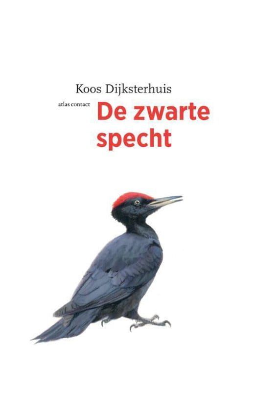 Koos Dijksterhuis; De zwarte specht
