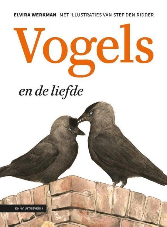 Elvira Werkman; Vogels en de liefde