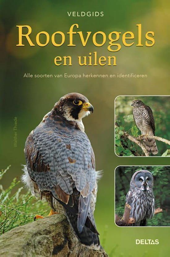 Walther Thiede; Roofvogels en uilen