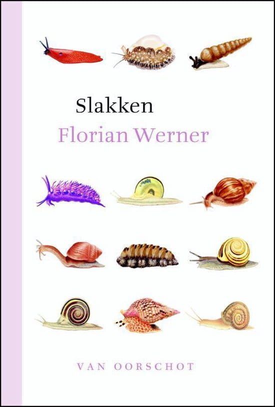 Florian Werner; Slakken