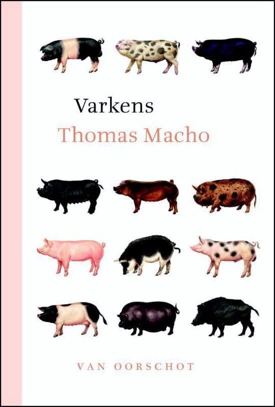 Thomas Macho; Varkens