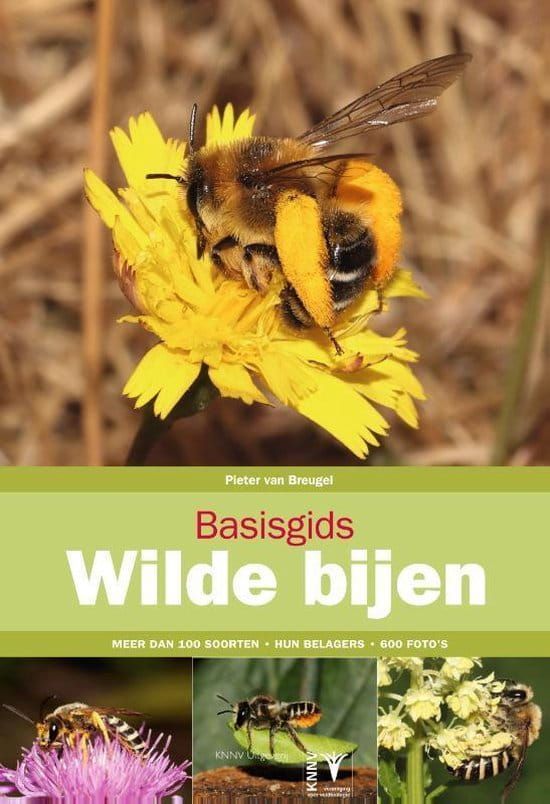 Pieter van Breugel; Basisgids Wilde bijen