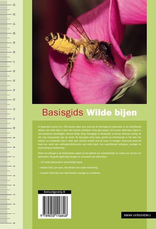 Pieter van Breugel; Basisgids Wilde bijen