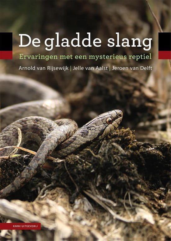 Arnold van Rijsewijk; De gladde slang