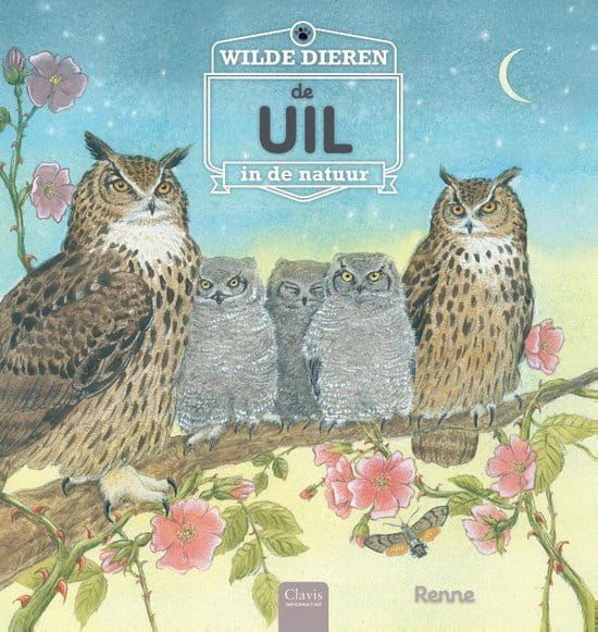 Wilde dieren in de natuur; De uil