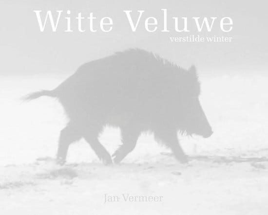 Jan Vermeer; Witte Veluwe