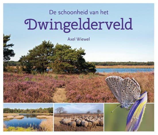 Axel Wiewel; De schoonheid van het Dwingelerveld