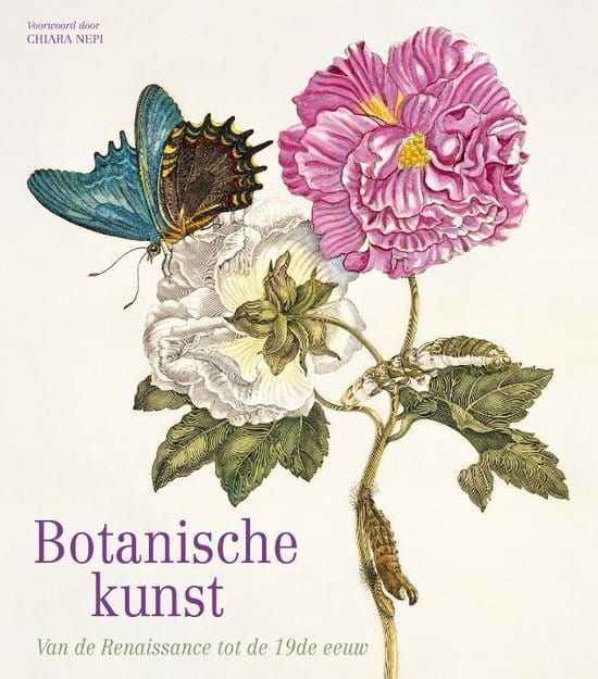 Chiara Nepi; Botanische kunst