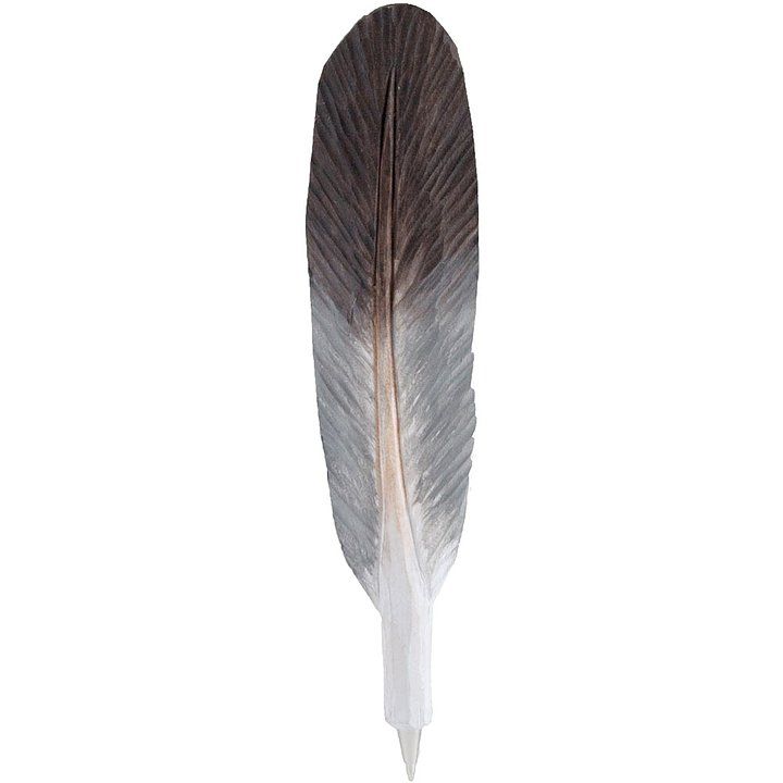 Schrijfpen Duif hout/ handgesneden