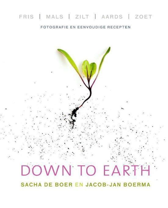 Sacha de Boer; Down To Earth