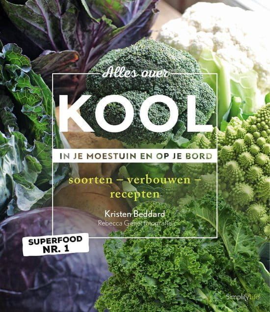 Kristen Beddard; Alles over Kool