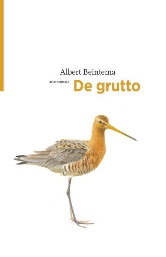 Albert Beinterma; De grutto