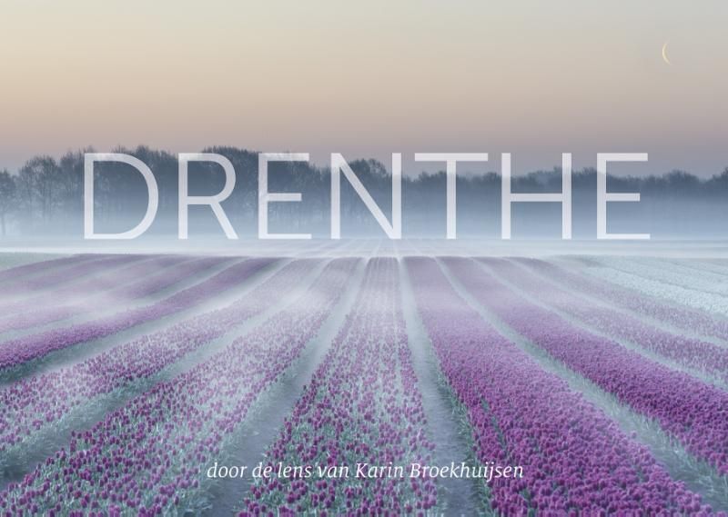 Het landschap van Drenthe met paarse bloemen, mist, bomen en de maan in een zachte, pastelkleurige dageraad.
