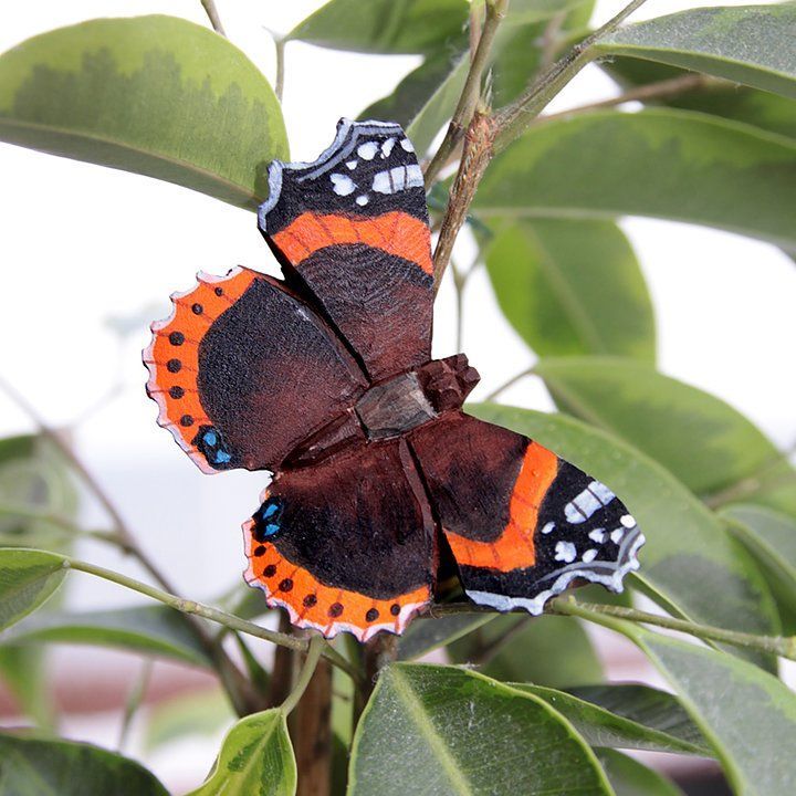 Vlinder met donkerbruine vleugels, oranje en zwarte markeringen en witte stippen.