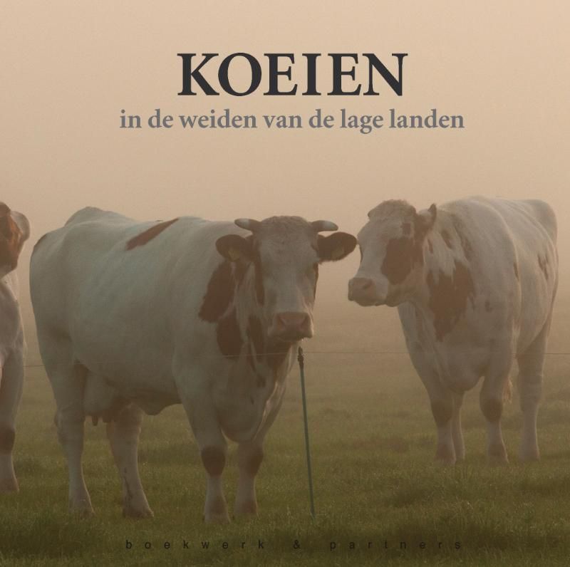 Reimer Strikwerda; Koeien in de weiden van de lage landen
