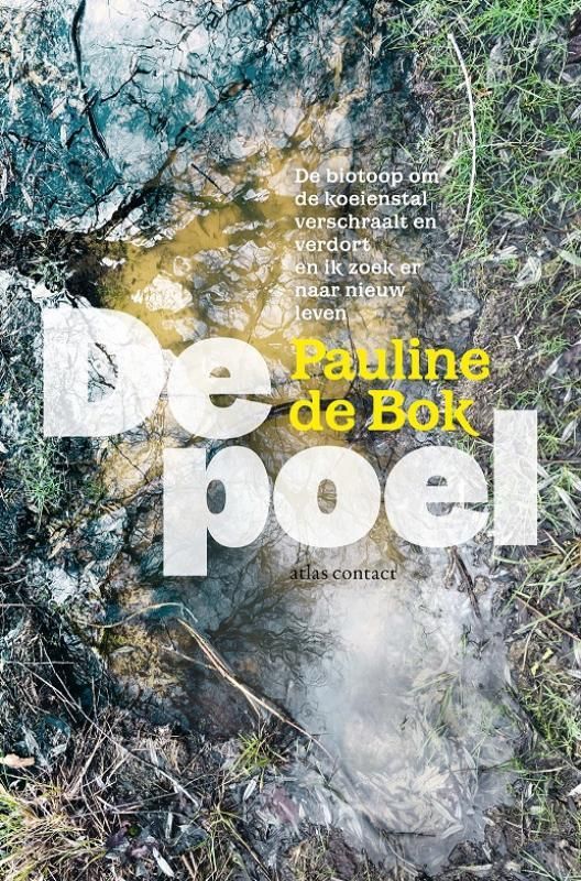 Pauline de Bok; De poel