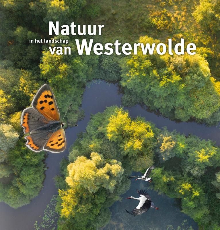 Natuur in het landschap van Westerwolde