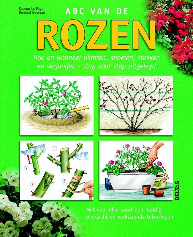 Deltas; A B C  van de rozen