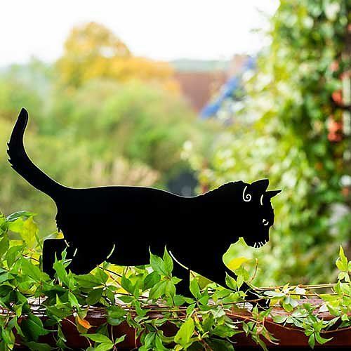 Silhouet poes