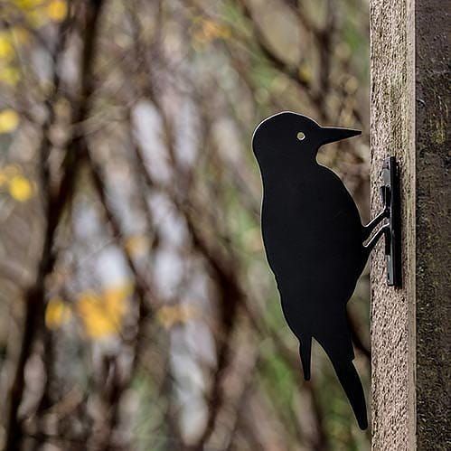 Silhouet Grote Specht