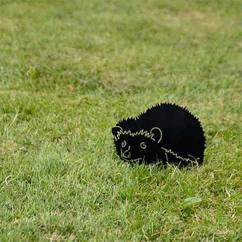 Silhouet egel