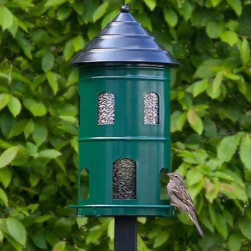 Groene metalen vogelvoederbak met een zwart, gelaagd dak.
