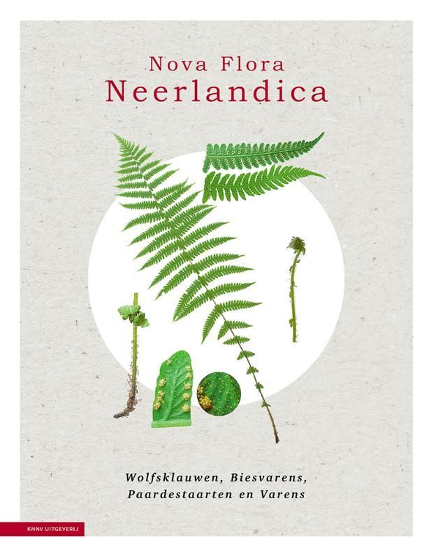 Rense Haveman; Nova Flora Neerlandica