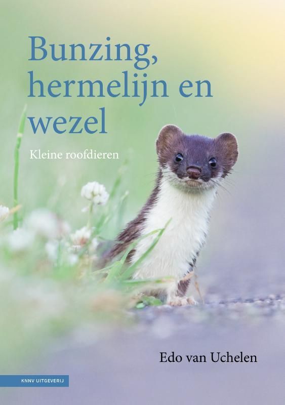 Edo van Uchelen; Bunzing, hermelijn en wezel