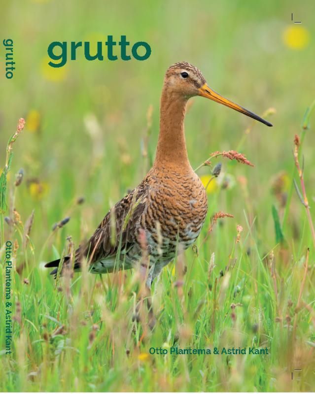 Een zwarte grutto in het groene gras. Op de boekomslag staat 