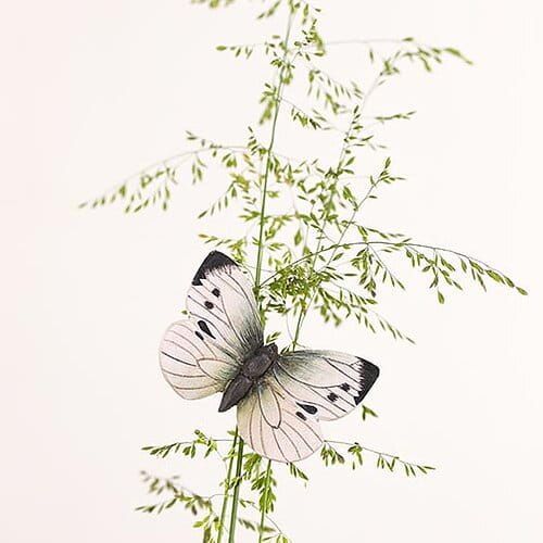 Vlinder groot wit hout/ magnetisch