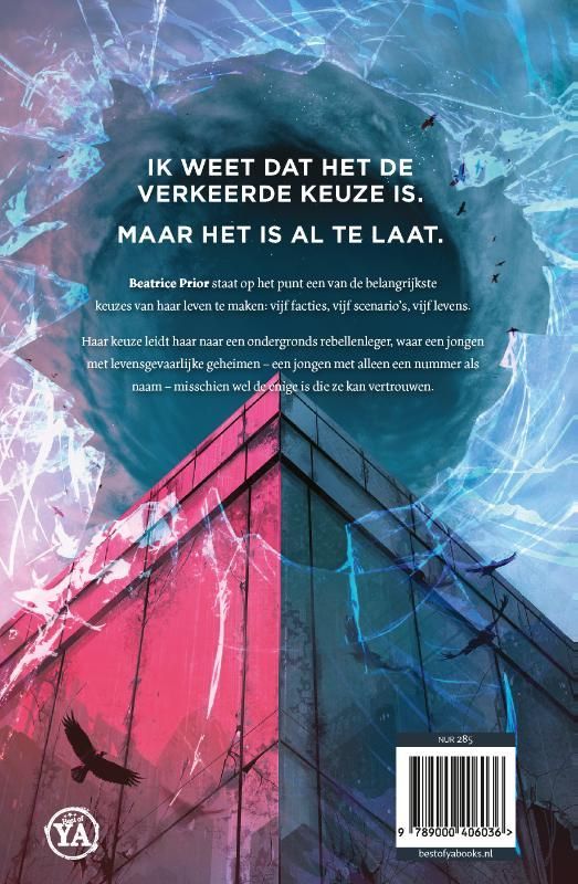 Veronica Roth; De zesde factie